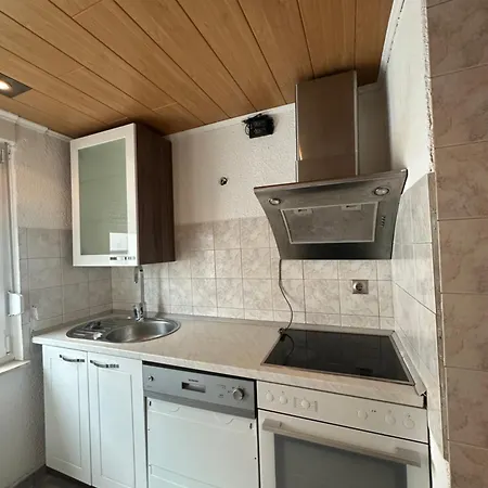 Shekinah Residences Near Frankfurt Airport 公寓 吕塞尔斯海姆